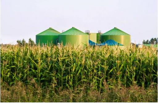 生物質(zhì)能源是作為理想的替代能源，將迎來爆發(fā)性的快速發(fā)展