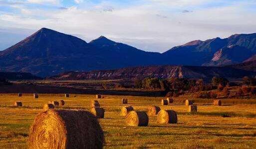 生物質(zhì)發(fā)電作為新世紀(jì)的可替代能源之一，發(fā)展?jié)摿驮鏊賹⒂瓉砀叻???