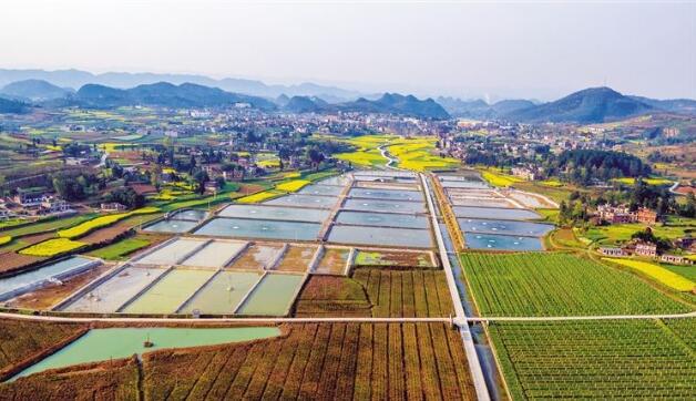 河北省政府出臺《關(guān)于做大做強(qiáng)農(nóng)業(yè)產(chǎn)業(yè)化龍頭企業(yè)的意見》，提出河北省農(nóng)業(yè)產(chǎn)業(yè)化發(fā)展目標(biāo)