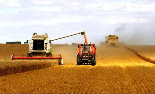 秋糧連續(xù)第六年糧食產(chǎn)量穩(wěn)定在6億噸，有信心應對國內(nèi)外各種經(jīng)濟風險?