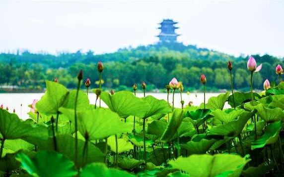 中國文旅產(chǎn)業(yè)的市場潛力龐大，未來市場空間有望達到2萬億元