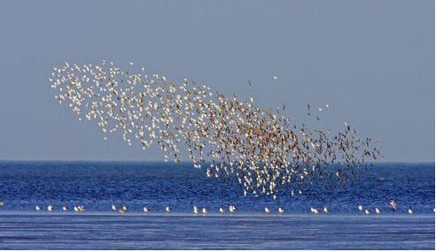 三部委：到2020年，渤海近岸海域水質(zhì)優(yōu)良比例達到73%左右?