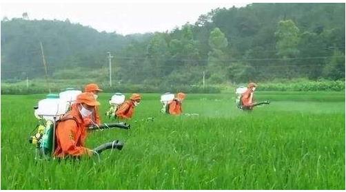 農(nóng)藥行業(yè)仍然具有較大的發(fā)展空間，高效、低毒、低殘留將是其發(fā)展方向