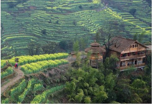 江西省扶貧辦：對269個深度貧困村共投入22.32億元，為深度貧困村脫貧退出提供支持?