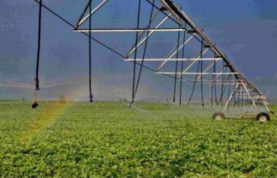 中共中央辦公廳、國務(wù)院辦公廳印發(fā)《關(guān)于促進(jìn)小農(nóng)戶和現(xiàn)代農(nóng)業(yè)發(fā)展有機(jī)銜接的意見》