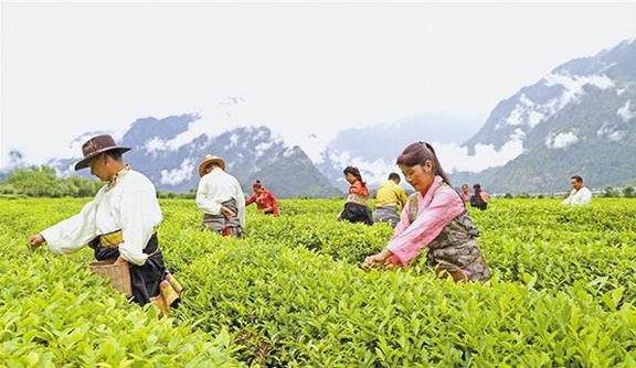 截至2018年底，西藏貧困人口已降至15萬人，貧困發(fā)生率下降到6%以下