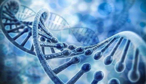 2018-2019年我國(guó)醫(yī)藥行業(yè)發(fā)展概況及未來(lái)預(yù)測(cè)