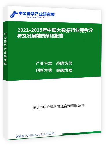 2021-2025年中國大數(shù)據(jù)行業(yè)競爭分析及發(fā)展前景預(yù)測報(bào)告