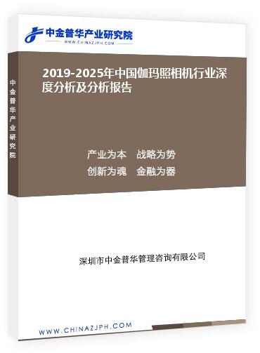 2019-2025年中國伽瑪照相機(jī)行業(yè)深度分析及分析報(bào)告