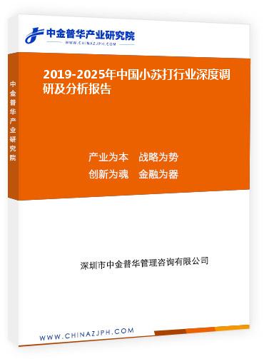 2019-2025年中國小蘇打行業(yè)深度調(diào)研及分析報(bào)告