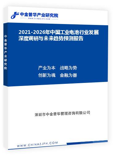 2021-2026年中國工業(yè)電池行業(yè)發(fā)展深度調(diào)研與未來趨勢(shì)預(yù)測(cè)報(bào)告