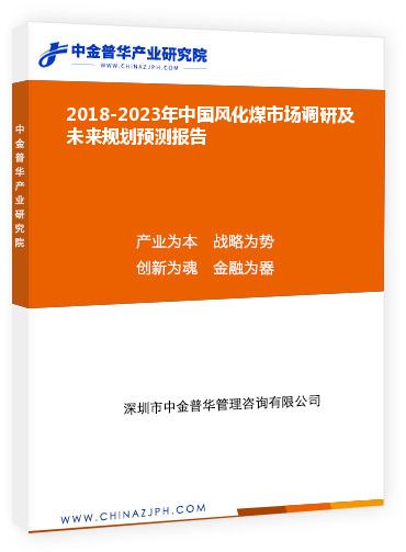 2018-2023年中國風(fēng)化煤市場調(diào)研及未來規(guī)劃預(yù)測報(bào)告